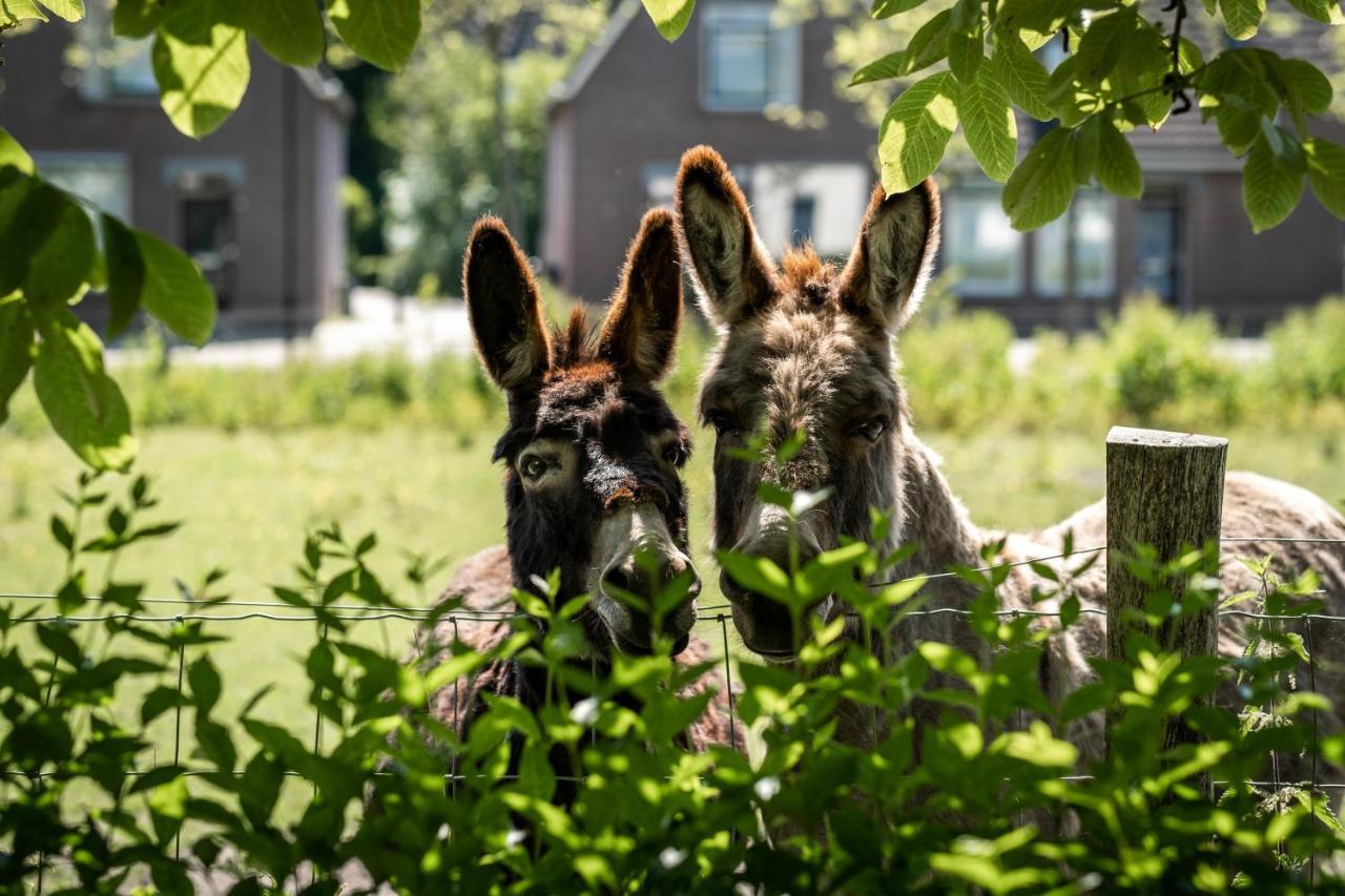 Het Weeshuis Bolsward Dış mekan fotoğraf